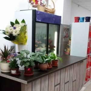 Купить готовый малый бизнес цветочный магазин в Москве ППА — продажа готового бизнеса